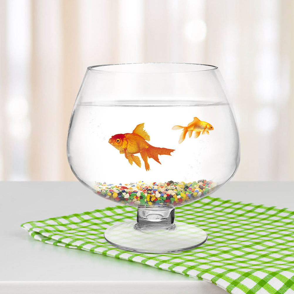 Planted Aquarium For Goldfish - 2Pcs Clear Glass Betta Tank Desktop
