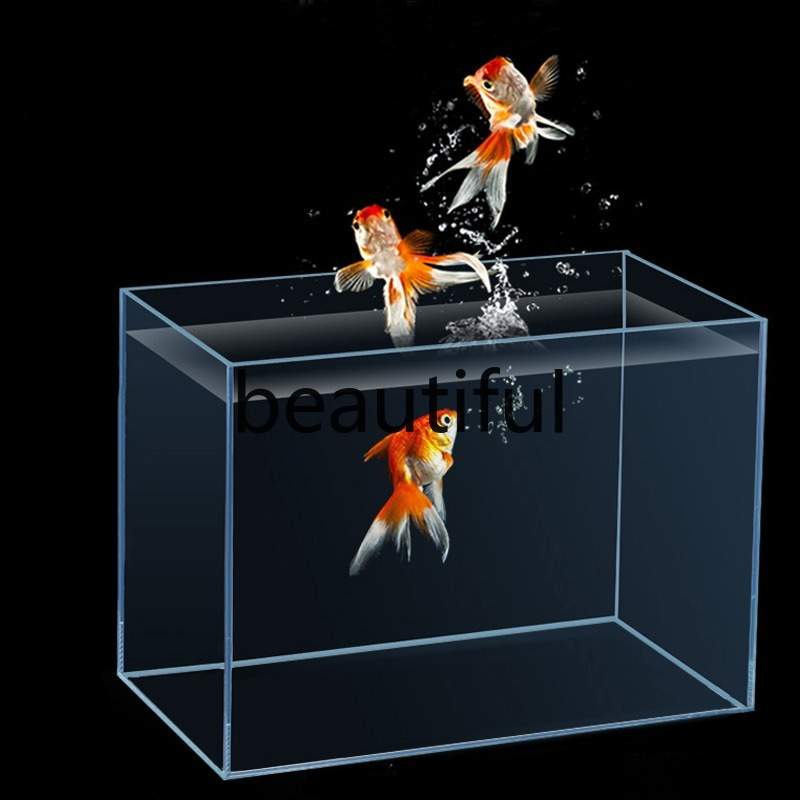 Jinjing ultra-white glass fish - Planted Aquarium For Goldfish ulasan dan harga