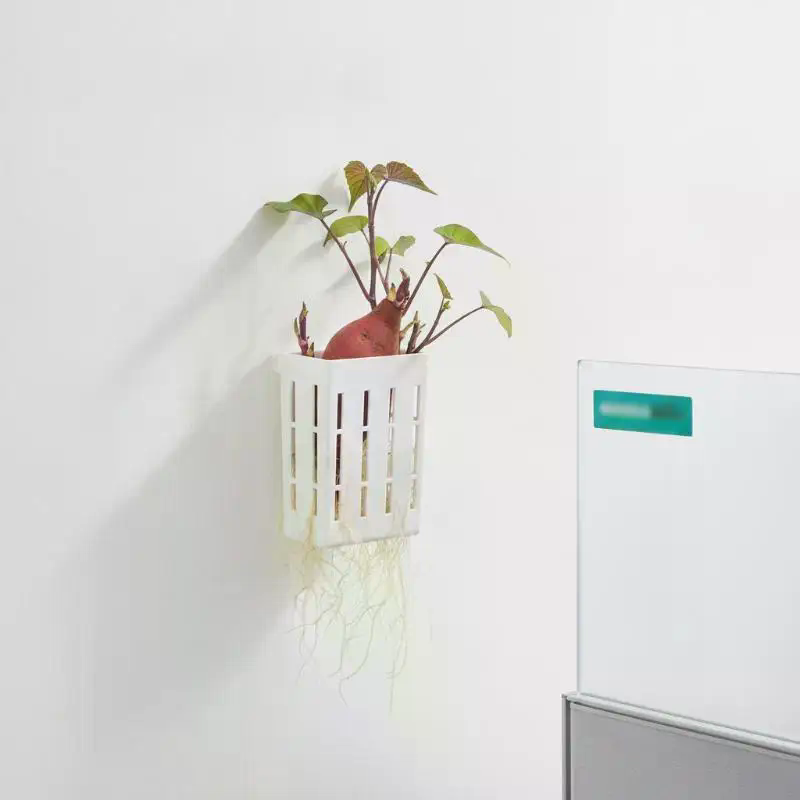 1Pcs Hydroponic Support Basket - Aquarium Planted Fish Tank ulasan dan harga