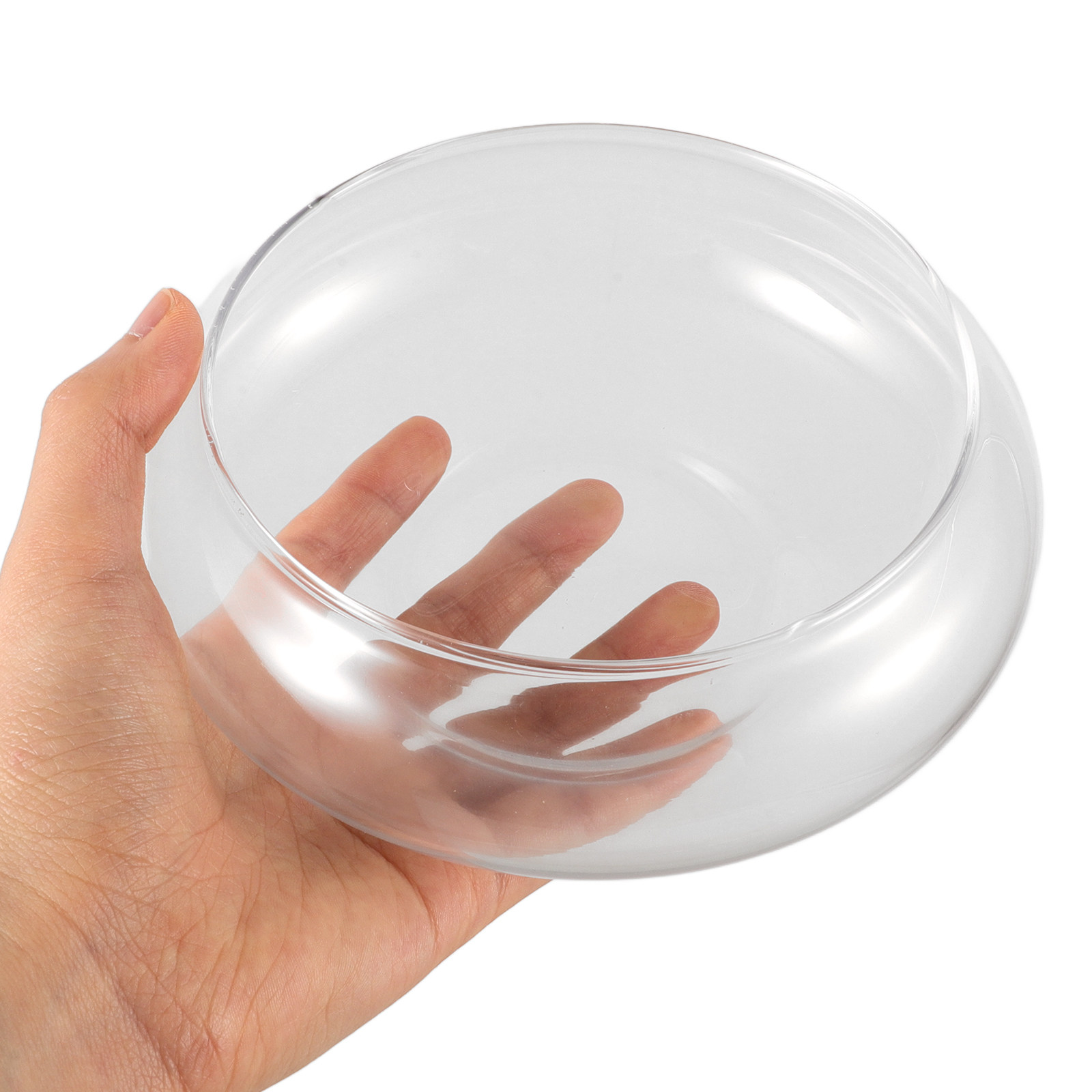 Clear Glass Fish Bowl Round De - Planted Aquarium For Goldfish ulasan dan harga