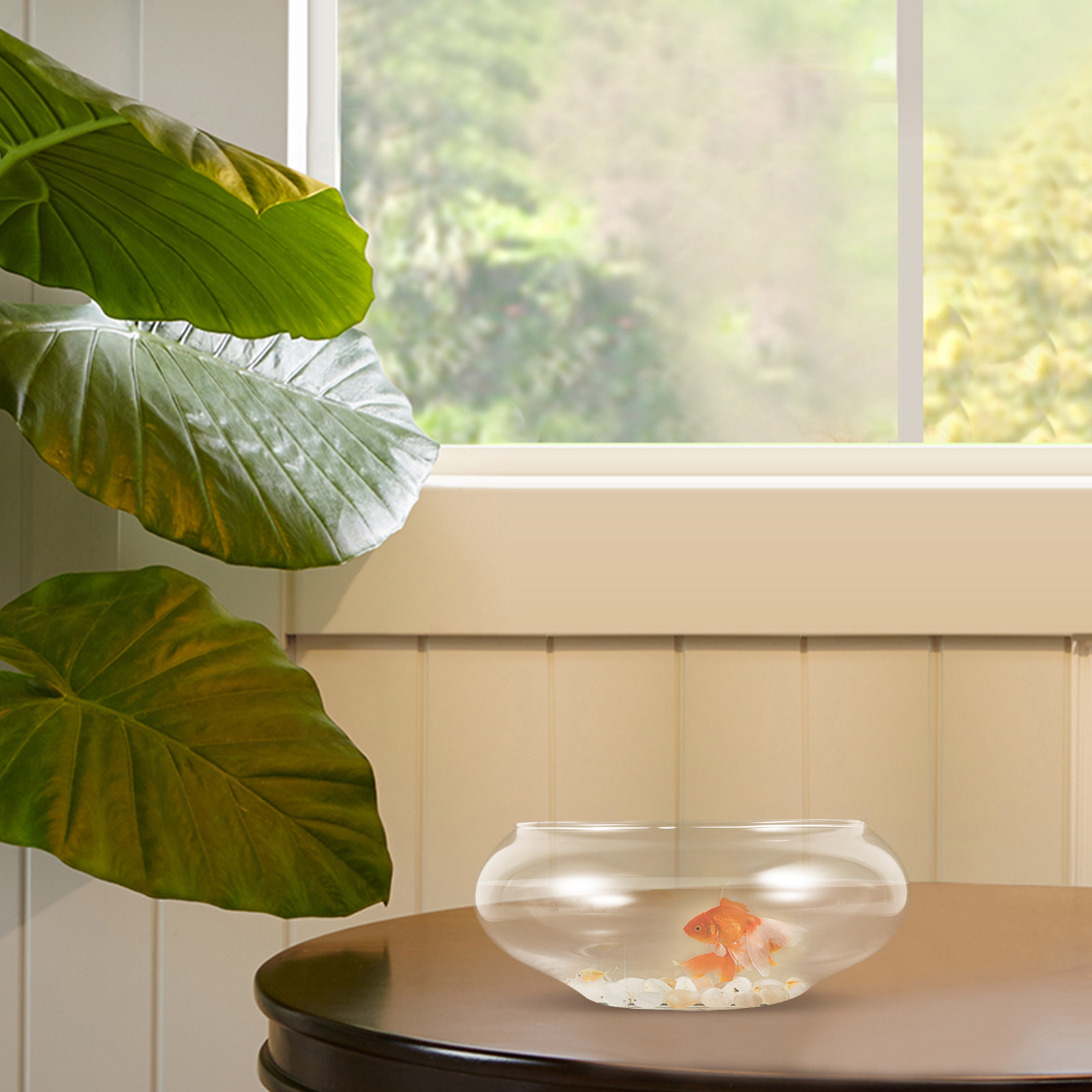 Clear Glass Fish Bowl Round De - Planted Aquarium For Goldfish ulasan dan harga