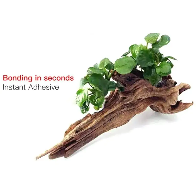 2PCS 5PCS /3/ Moss Clear Glues - Aquarium Plant Glue ulasan dan harga