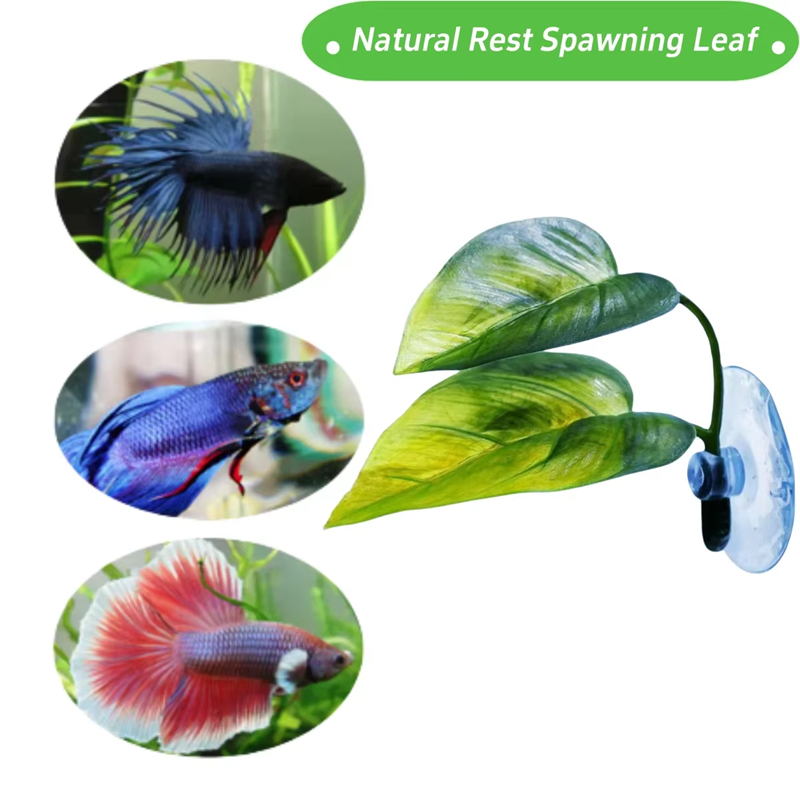 Aquarium Pet Supplies Decorati - Aquarium Planted Fish Tank ulasan dan harga
