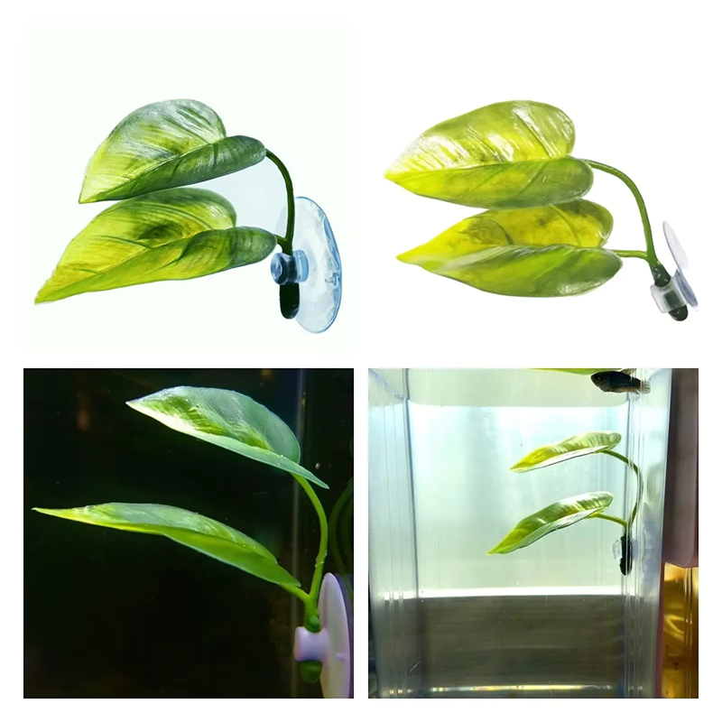 Aquarium Pet Supplies Decorati - Aquarium Planted Fish Tank ulasan dan harga