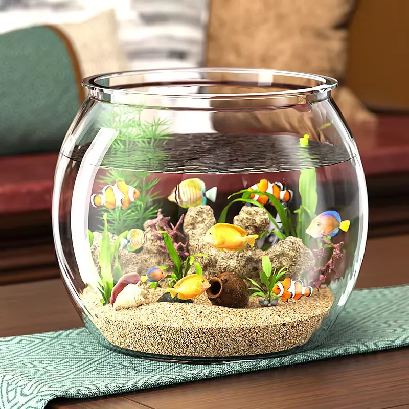 High Quality Compact Clear Pla - Planted Aquarium For Goldfish ulasan dan harga