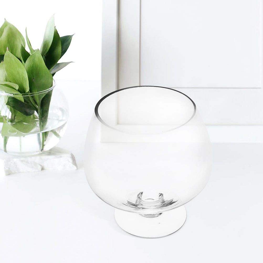 2Pcs Clear Glass Betta Tank De - Planted Aquarium For Goldfish ulasan dan harga