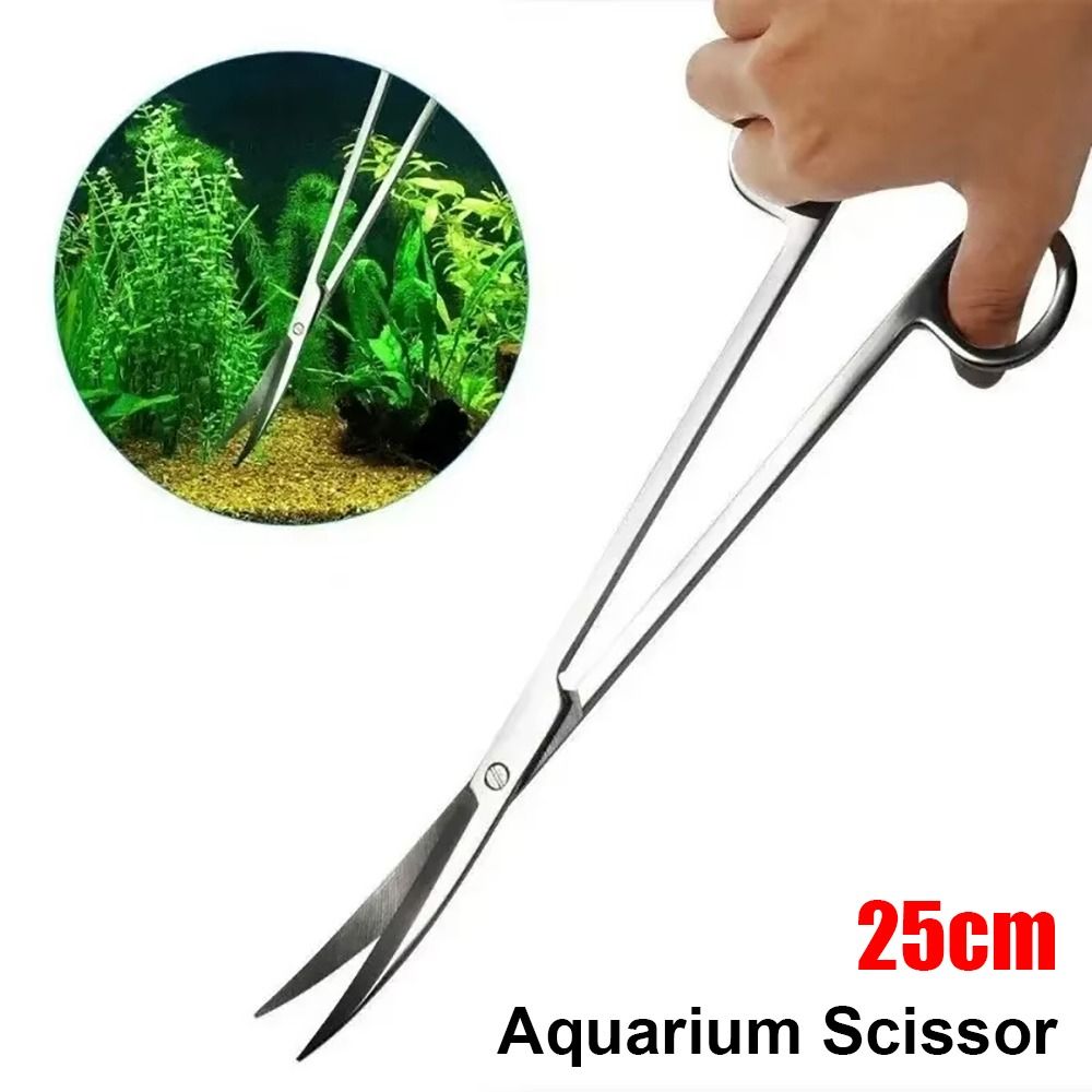 1Pcs Stainless Steel Aquarium  - Planted Aquarium Tools ulasan dan harga