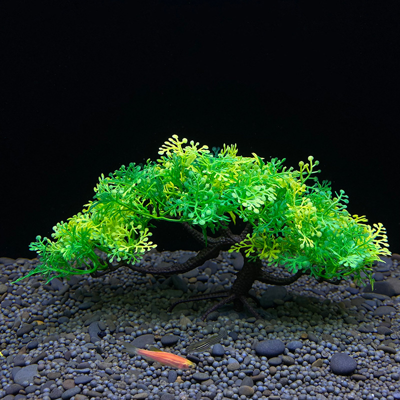 Aquarium Bonsai Tree, Plant, F - Planted Aquarium For Goldfish ulasan dan harga