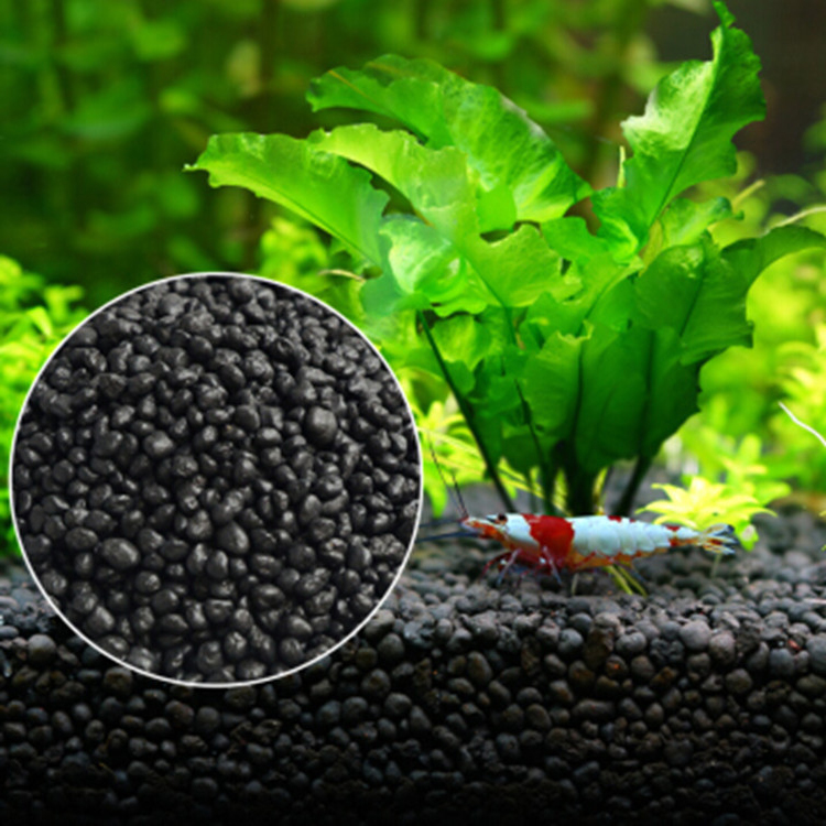 Aquarium Plant Seeds Soil Fish - Aquarium Planted Fish Tank ulasan dan harga