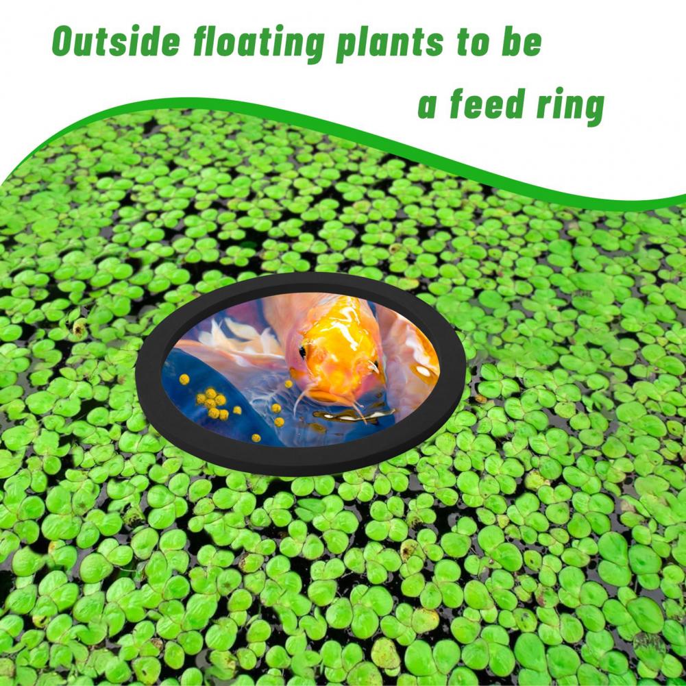 Eva Foam Floating Ring for Fis - Planted Aquarium For Goldfish ulasan dan harga