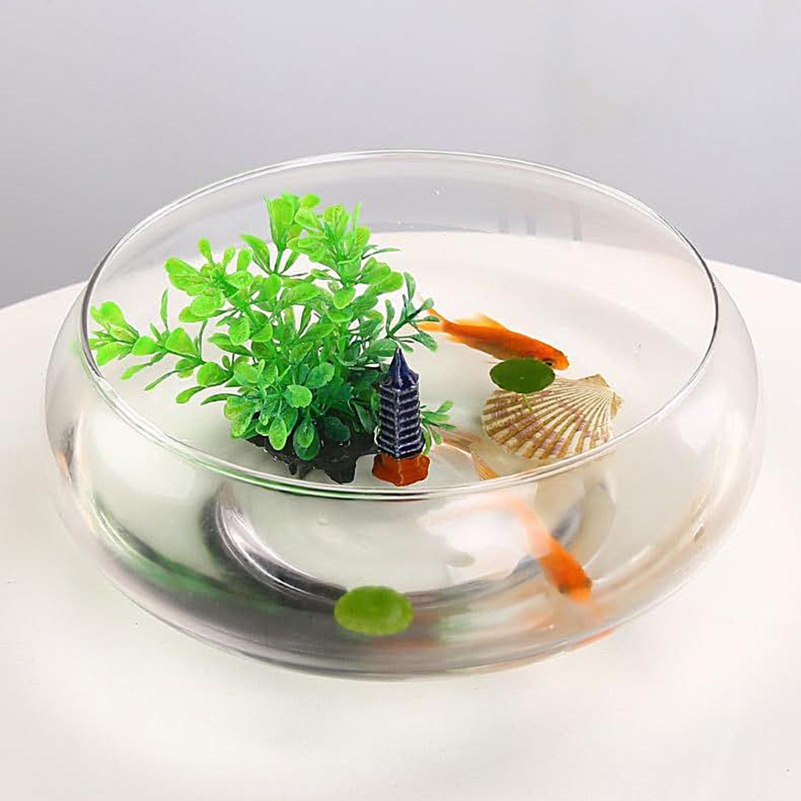 Fish Glass Bowl Glass Large Hy - Planted Aquarium For Goldfish ulasan dan harga