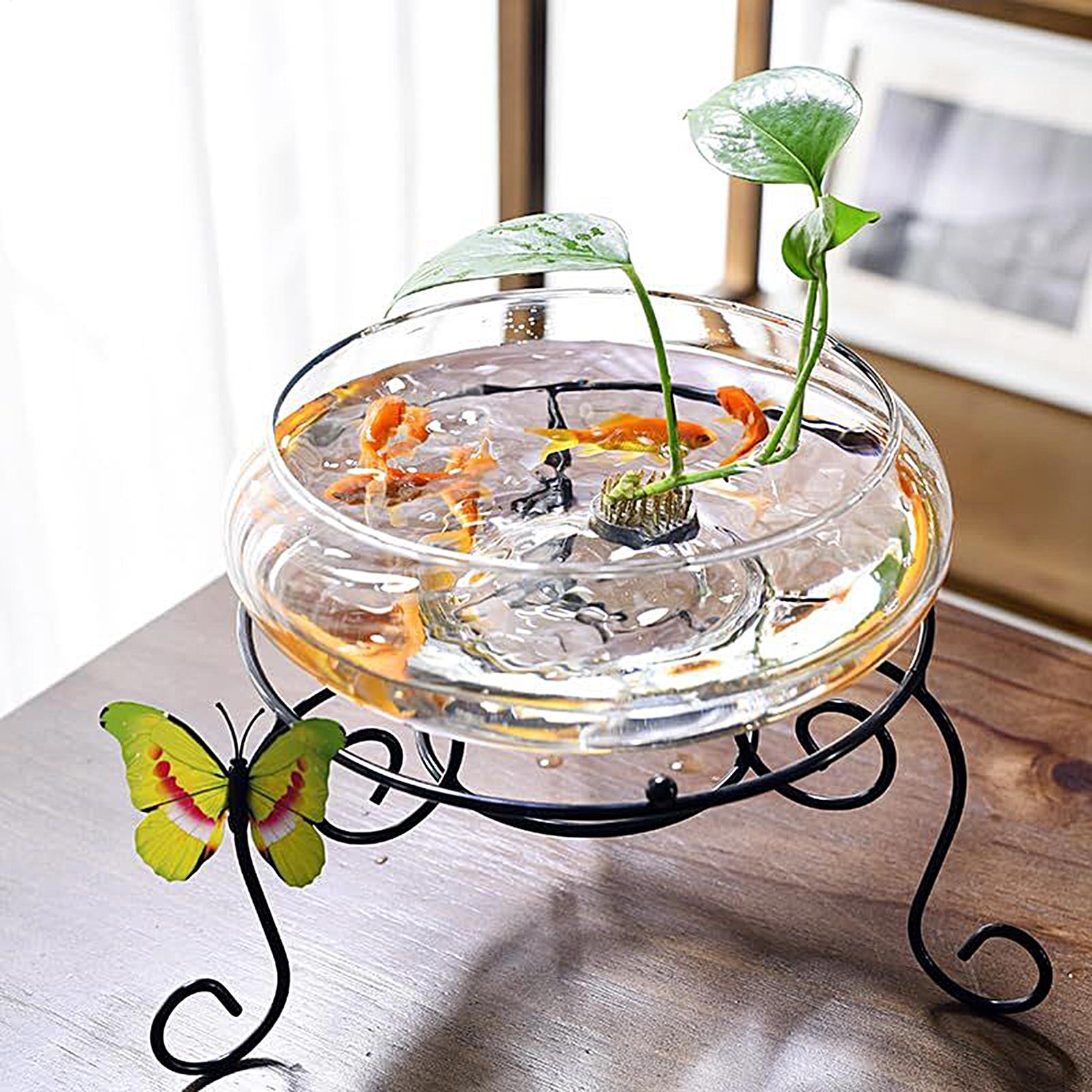 Fish Glass Bowl Glass Large Hy - Planted Aquarium For Goldfish ulasan dan harga