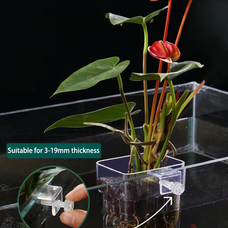 Multifunctional Fish Aquarium  - Aquarium Planted Fish Tank ulasan dan harga