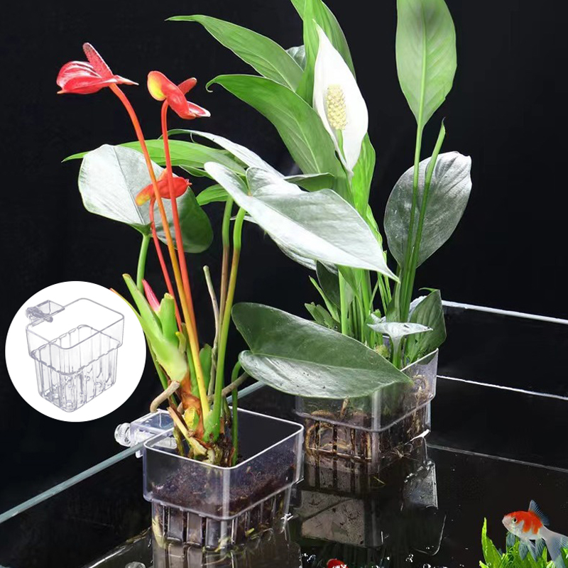 Multifunctional Fish Aquarium  - Aquarium Planted Fish Tank ulasan dan harga