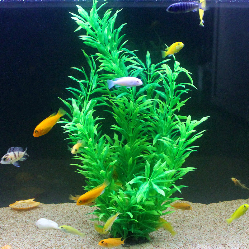 50CM Artificial Fish Tank Rare - Aquarium Planted Fish Tank ulasan dan harga