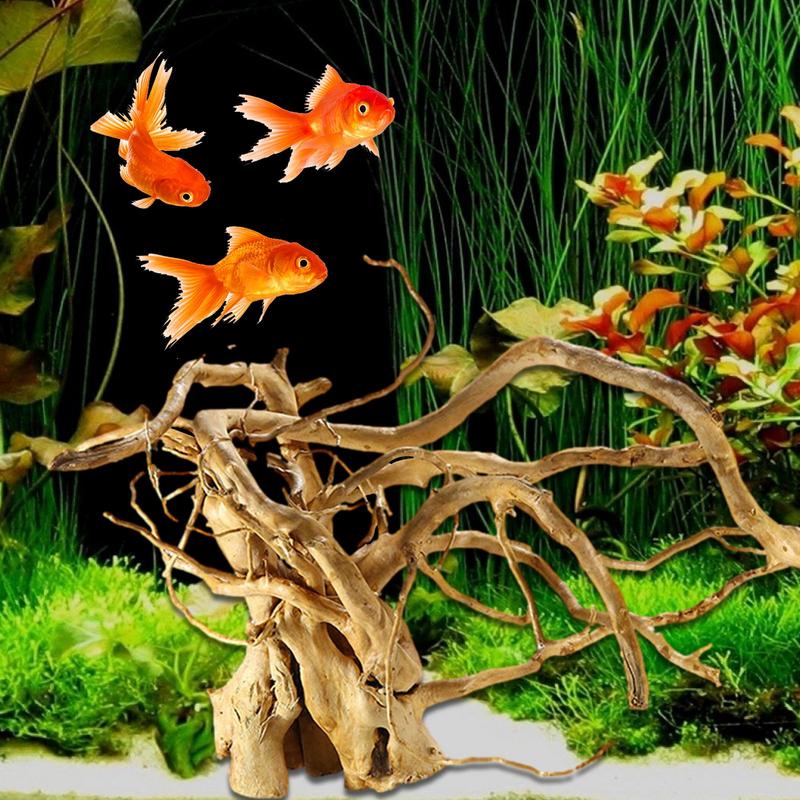 Aquarium Driftwood Decoration  - Aquarium Plant Glue ulasan dan harga